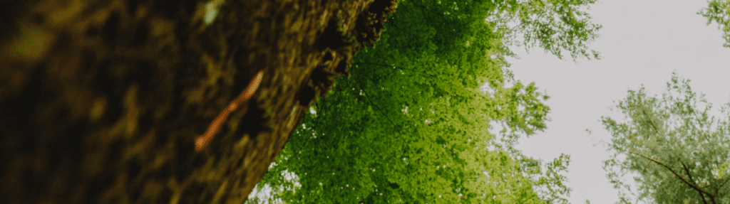 SDG Construction Sustainability Report 2024 - We Are SDG